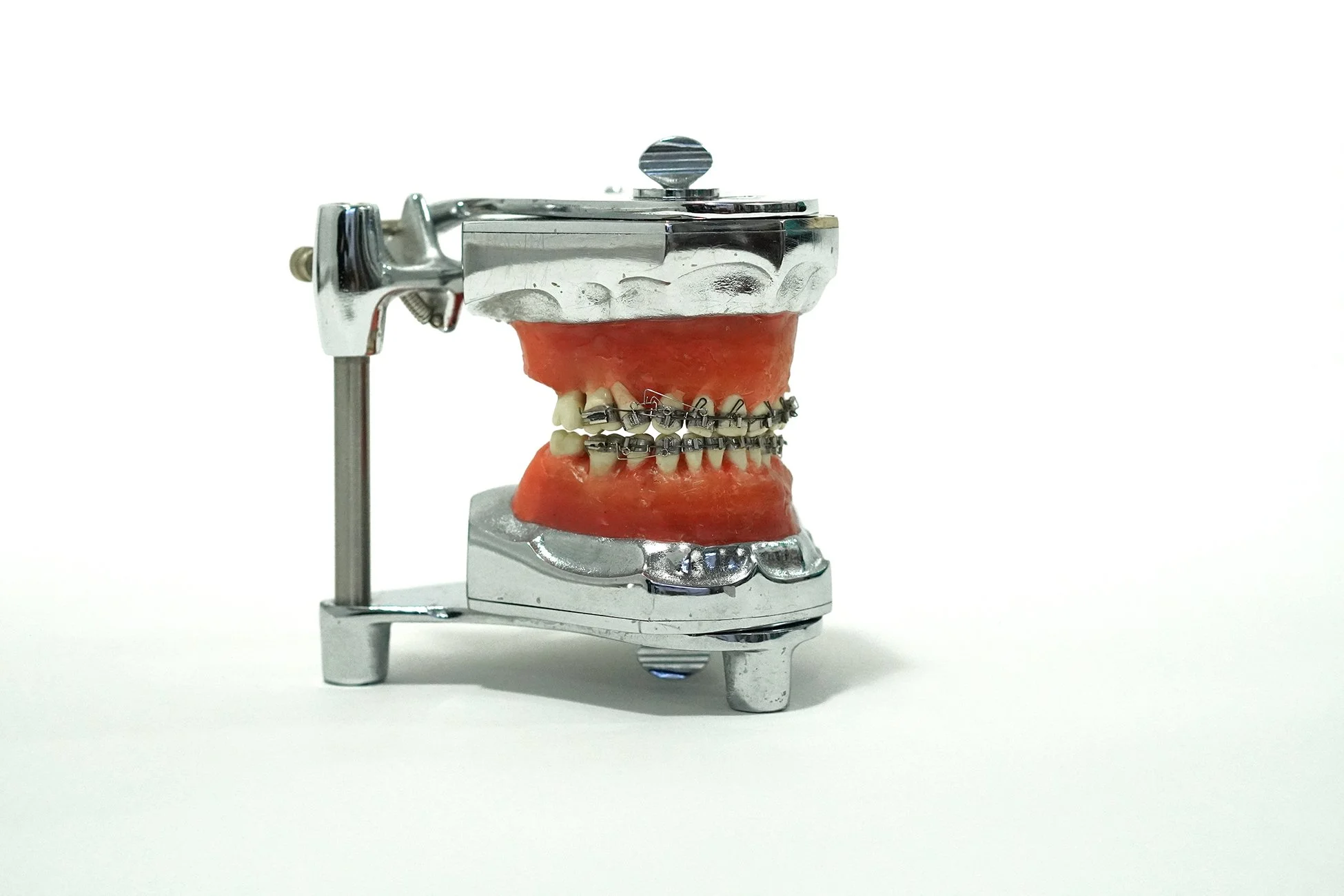 Shika×TOKYOGUNS CICAGO 1940's Orthodontic Teeth on Articulator